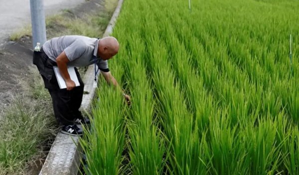 专业配资门户 王毅年终点名, 石破茂言中大白, 日本军机坦克再强也终将无用啊